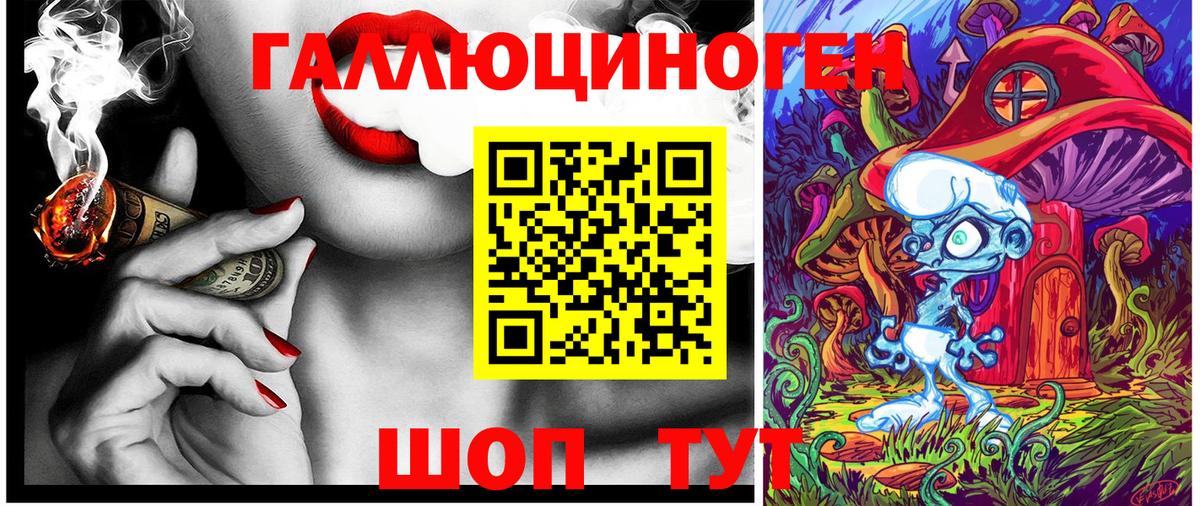Псилоцибиновые грибы GOLDEN TEACHER  купить наркотики цена  Улан-Удэ  Вход с VPN 